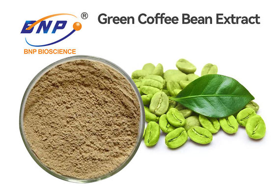 Зеленое кофейное зерно извлекает хлорогеновое кисловочное качество еды 50%