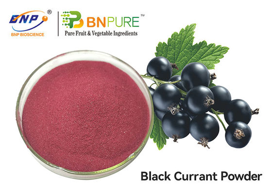Пурпурная красная выдержка плода Nigrum смородины качества еды порошка сока Blackcurrant