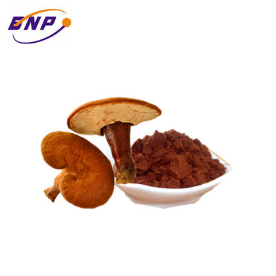 Полисахарид 10%-50% порошка выдержки гриба Бразилии поставки естественный