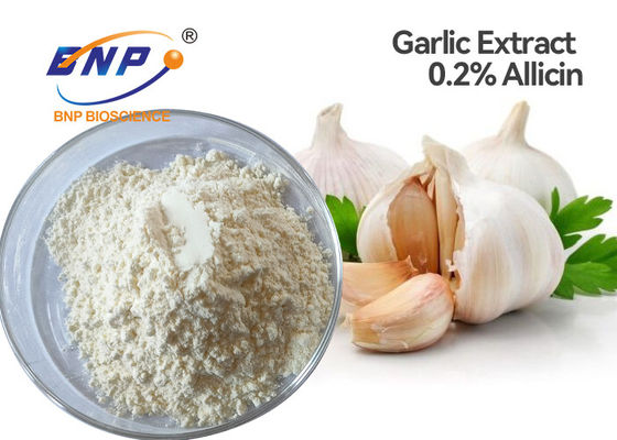 Выдержка чеснока теста HPLC естественная пудрит качество еды 2% Allicin