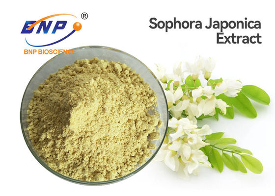 Желтый порошок двугидрата кверцетина качества еды порошка выдержки Japonica софоры