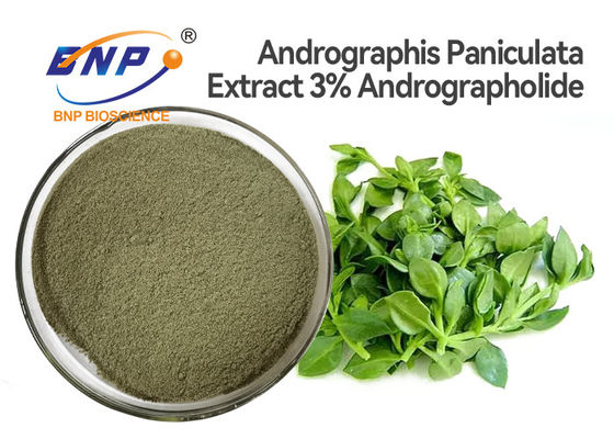 Порошок выдержки лист Andrographis Paniculata дополнений 3% Andrographolide естественный противовирусный