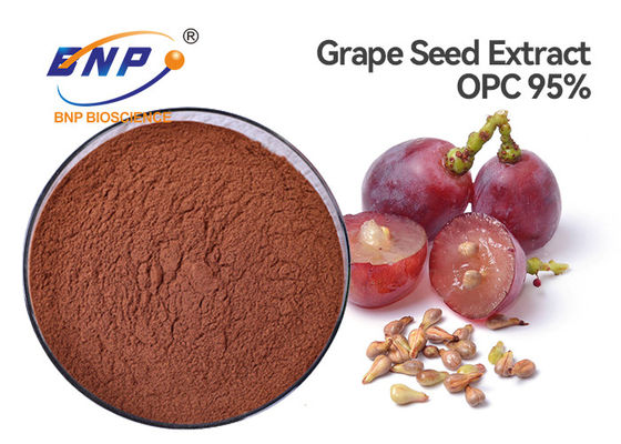 L. Nigra Sambucus полифенолов 70% порошка выдержки кожи виноградины HPLC.