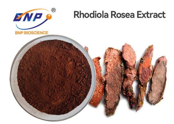 Против старения корень Rhodiola Rosea пудрит выдержку 3% Rhodiola Crenulata