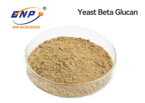 Естественные питательные вещества освещают - порошок GMP полисахаридов Glucan 80% желтых дрожжей бета