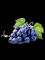 Vitis выдержки семени высушенной виноградины - vinifera Proanthocyanidins 95%