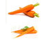 Порошок сока моркови дополнения порошка овоща сухофрукта точный органический