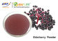 Пурпурная выдержка плода Nigra Sambucus качества еды порошка сока Elderberry