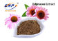 Качество еды полифенола 4% выдержки Purpurea эхинацеи