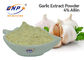 Выдержка чеснока GMP непахучая пудрит бренд BNP 4% Allicin