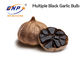 Шарик семени чеснока черноты alium sativum множественный естественно заквасил