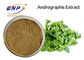 Противобактериологическая выдержка Andrographis Paniculata качества еды пудрит 3%-99% Andrographolide