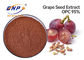 Краснокоричневая органическая забота косметик полифенола 95% выдержки семени виноградины