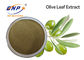 Завод Брауна HPLC желтый естественный извлекает порошок выдержки лист Oleuropein 60% прованский