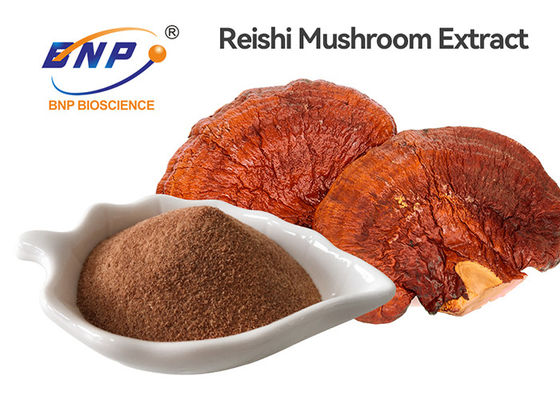 Выдержка Ganoderma Lucidum тритерпена полисахарида 2% 30% пудрит красный гриб Reishi