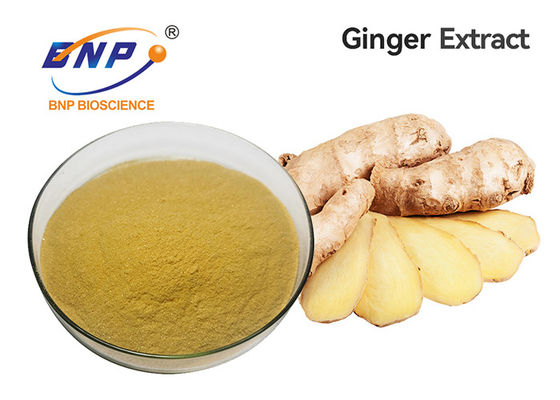 Качество еды Gingerol 5%-10% выдержки корня имбиря