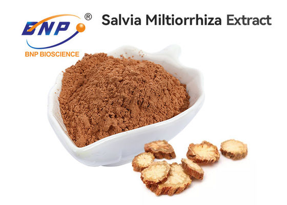 Верхняя качественная выдержка корня Salvia от фабрики BNP