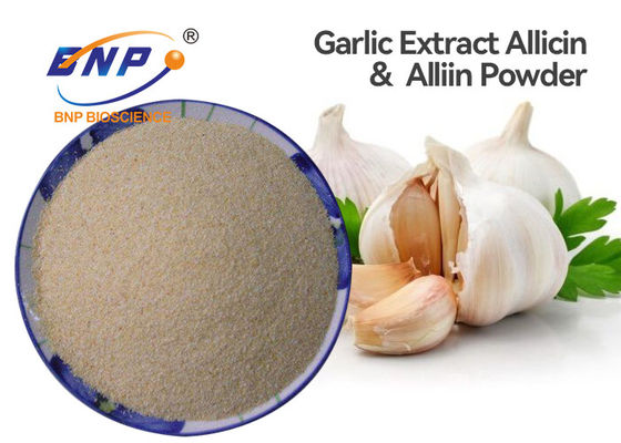Бренд BNP порошка антибиотической выдержки alium sativum качества еды белый