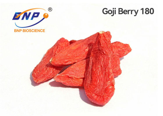 Ягода GMP Goji 350 зерен красная высушила Lycium Barbarum Wolfberry