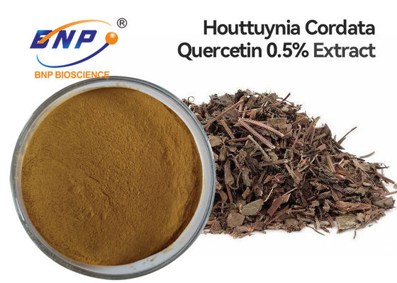 Высококачественный кверцетин выдержки Houttuyniae Herba порошка выдержки Cordata Houttuynia