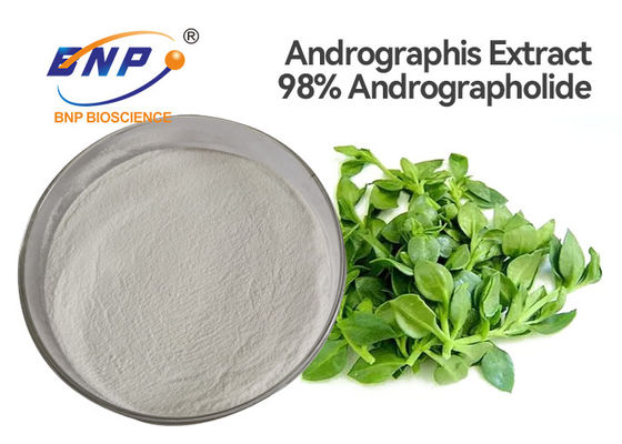 Выдержка лист ISO Andrographis Paniculata пудрит 98% Andrographolide