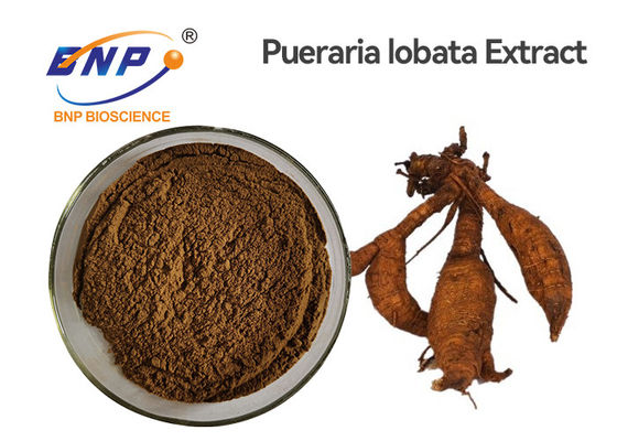 Завод корня Kudzu естественный извлекает порошок Lobata Pueraria Isoflavones 40% Браун желтый