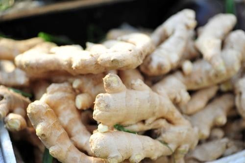 Качество еды Gingerol 5%-10% выдержки корня имбиря