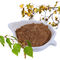 Чистая выдержка коры дерева березы выдержки Betulin коры березы Natrual