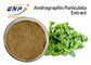 Противовирусная выдержка Andrographis Paniculata пудрит HPLC 50% Andrographolide