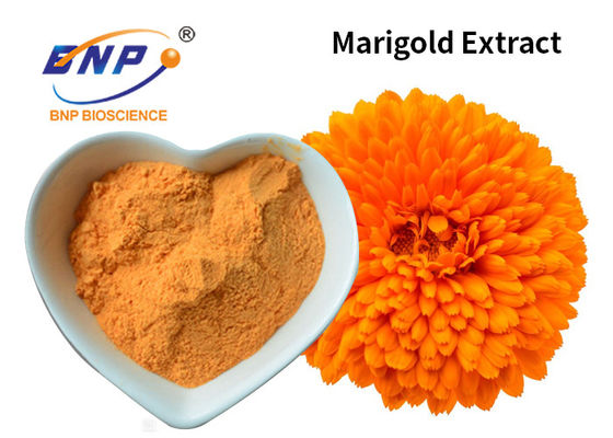 L. Tagetes Erecta пищевой добавки Colorant лутеина порошка 10%~80% выдержки ноготк желтое.
